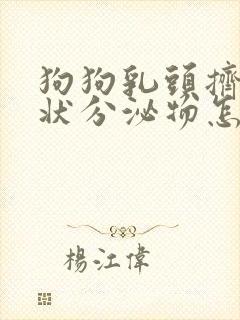狗狗乳头挤出水状分泌物怎么回事