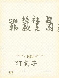 sm 丝袜 日韩 欧美 国产