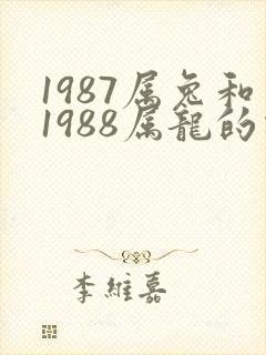 1987属兔和1988属龙的相配吗封面