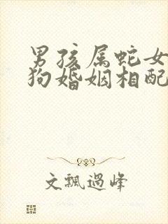 男孩属蛇女孩属狗婚姻相配吗封面