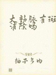 大动脉有斑块能消除吗