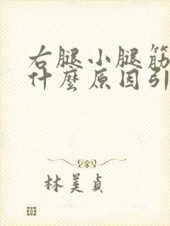 右腿小腿筋疼是什么原因引起的