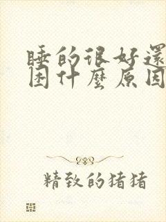 睡的很好还是犯困什么原因