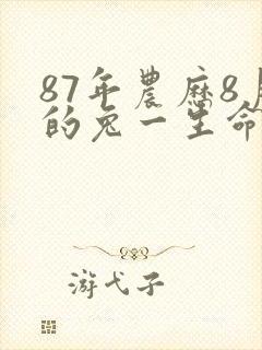 87年农历8月的兔一生命运封面