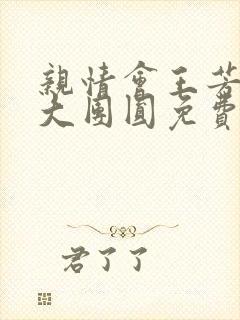 亲情会王芳高敏大团圆免费阅读