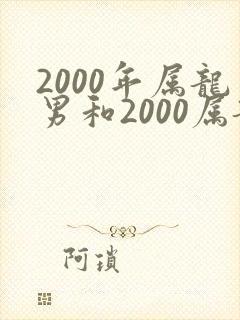 2000年属龙男和2000属龙女相配吗