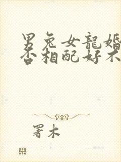 男兔女龙婚姻是否相配好不好