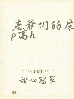 老爷们的床奴np高h