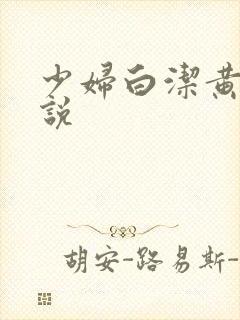 少妇白洁黄色小说