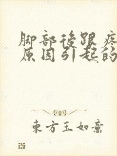 脚部后跟疼什么原因引起的