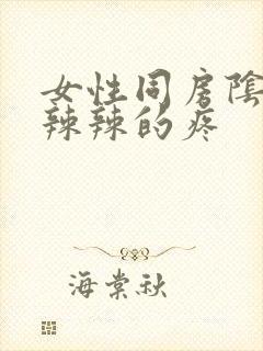 女性同房阴道火辣辣的疼