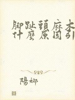 脚趾头麻木痛是什么原因引起的封面