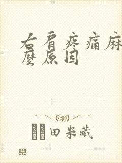 右肩疼痛麻木什么原因