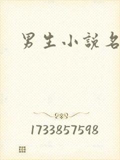 男生小说名字