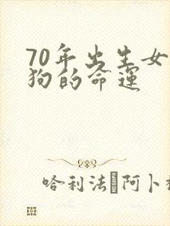 70年出生女属狗的命运