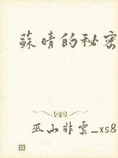 苏晴的秘密小说