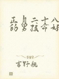 正月二十八出生的男孩命好吗