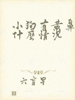 小狗有黄鼻涕是什么情况