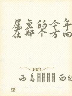 属兔的今年财运在哪个方向