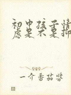 初中孩子情绪焦虑是不是抑郁封面