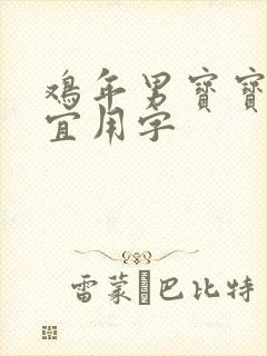 鸡年男宝宝起名宜用字封面