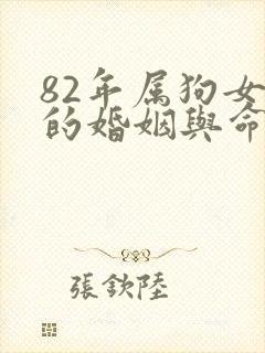 82年属狗女人的婚姻与命运封面