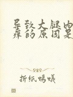 导致大腿内侧瘙痒的原因是什么封面