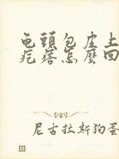 龟头包皮上长小疙瘩怎么回事