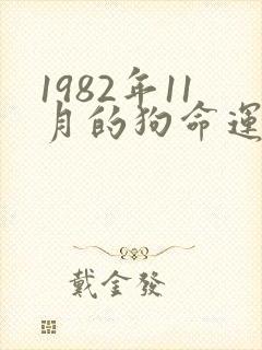 1982年11月的狗命运怎么样封面