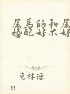 属马的和属鸡的婚配好不好