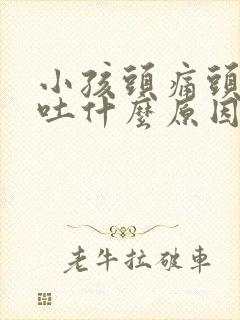 小孩头痛头晕想吐什么原因引起的