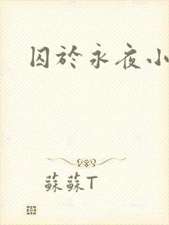 囚于永夜小说