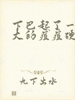 下巴起了一个很大的痘痘硬块