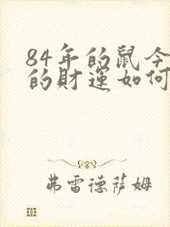 84年的鼠今年的财运如何封面