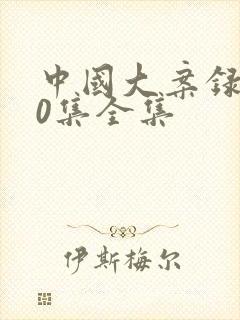 中国大案录100集全集