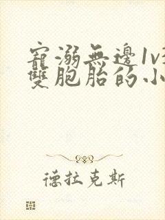 宠溺无边1v3双胞胎的小说