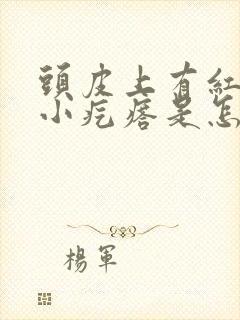 头皮上有红色的小疙瘩是怎么回事