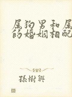 属狗男和属兔女的婚姻相配吗封面