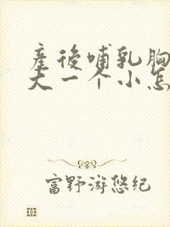 产后哺乳胸一个大一个小怎么办封面