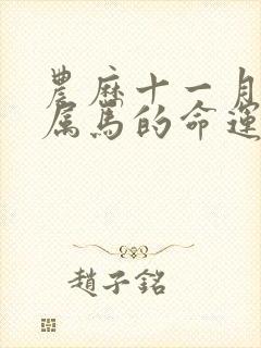 农历十一月出生属马的命运如何