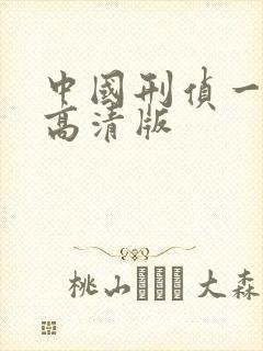 中国刑侦一号案高清版