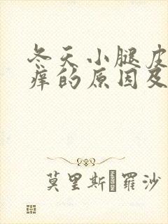 冬天小腿皮肤瘙痒的原因及处理方法