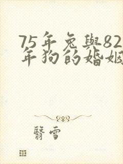 75年兔与82年狗的婚姻