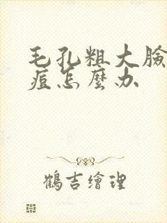 毛孔粗大脸上有痘怎么办