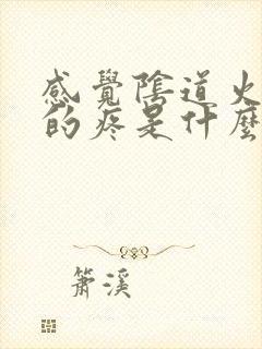 感觉阴道火辣辣的疼是什么原因