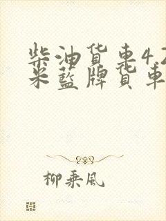 柴油货车4.2米蓝牌货车报价