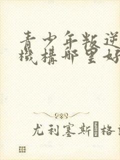 青少年叛逆管教机构哪里好