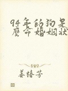 94年的狗是什么命婚姻状况如何