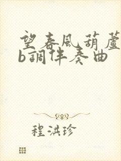 望春风葫芦丝降b调伴奏曲