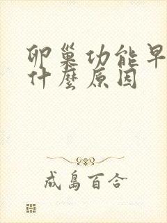 卵巢功能早衰是什么原因封面